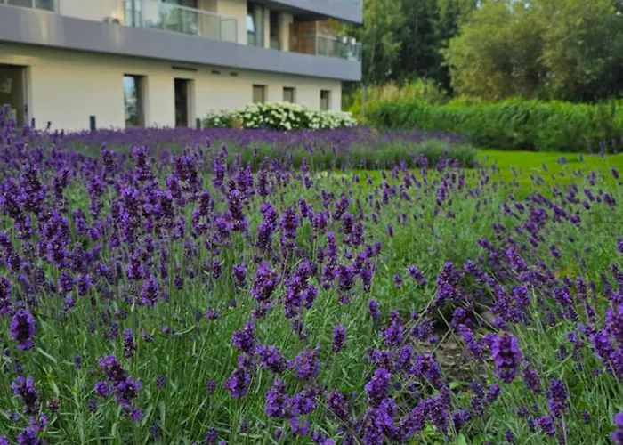 アパート Letnica Sunsetview Nad Morzem 700m *