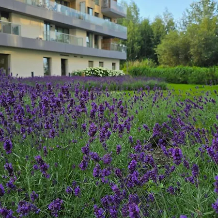 Lägenhet Letnica Sunsetview Nad Morzem 700m *