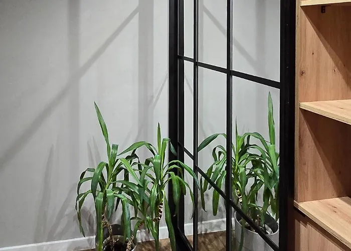 Letnica Sunsetview Nad Morzem 700m *